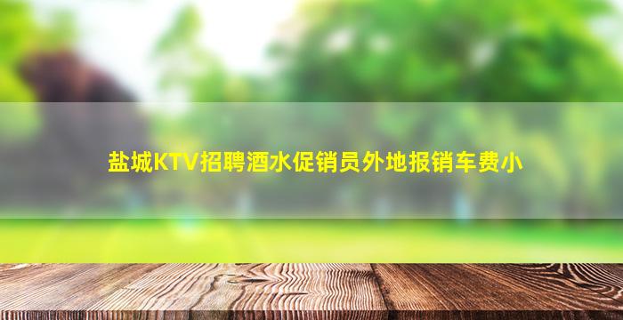 盐城KTV招聘酒水促销员外地报销车费小